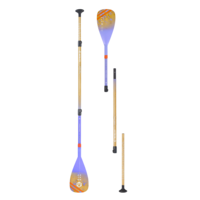 Aztron Phase Bamboo Carbon