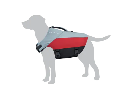 Astral BirdDog Astral BirdDog 1