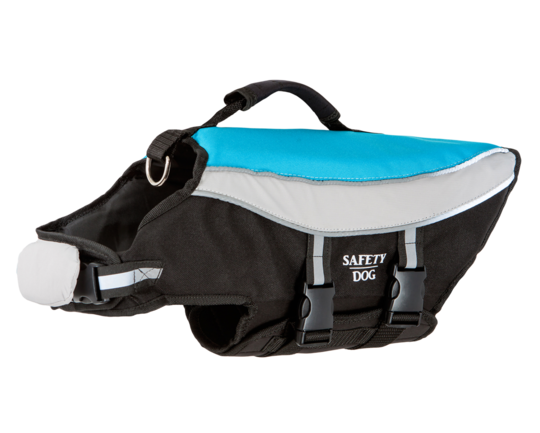 Aquarius Safety Dog Aquarius Safety Dog 1