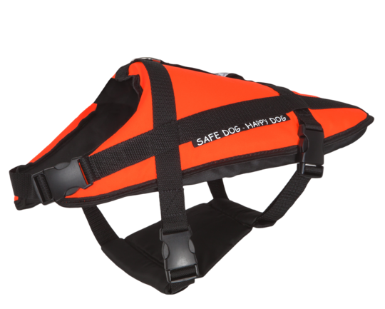 Aquarius Pupil Aquarius Pupil 1